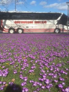 Gustavssons Busstrafik - delägare i Bivab