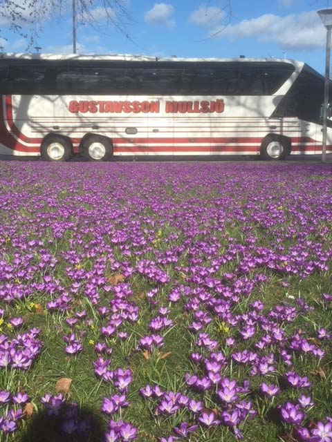 Gustavssons Busstrafik - delägare i Bivab