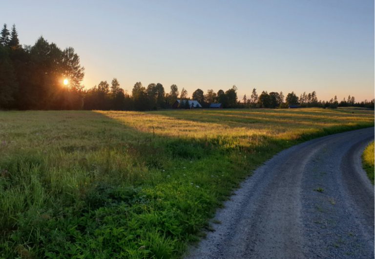 Forskningsprojekt ska främja säkerheten hos bussbolag